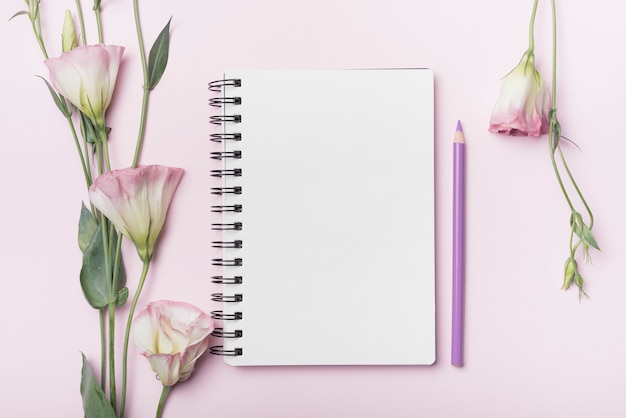 Eustoma flowers; blank spiral notebook with purple pencil on pink background