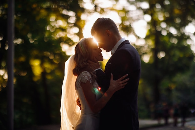 Evening summer sun makes a halo around beautiful wedding couple