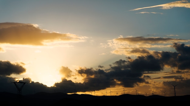 Evening sunset in summer