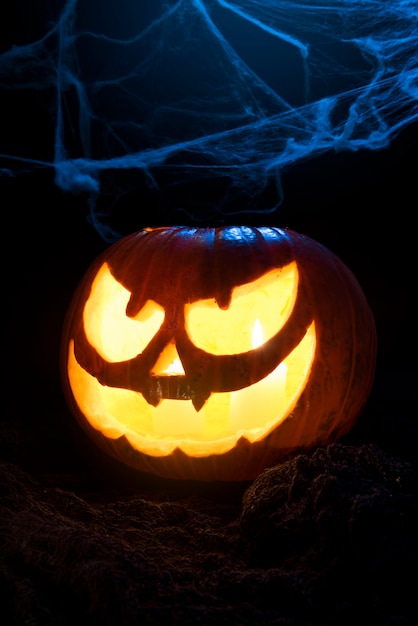 Free Photo evil halloween pumpkin and spiderweb  still life