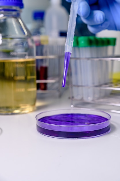 Examining a purple substance in a petri dish with a pipette while conducting coronavirus research