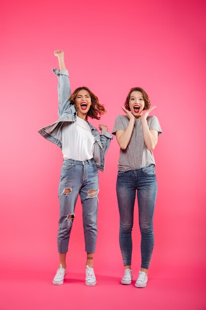 Excited two ladies friends standing isolated