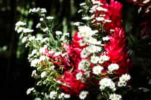 Free photo exotic flowers with blurred background