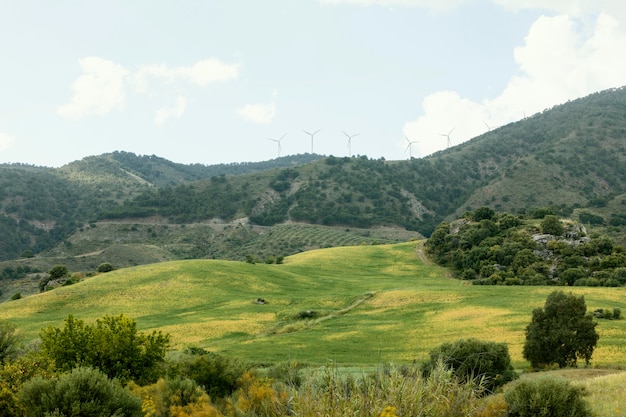 Free Photo extra long shot peaceful landscape with trees