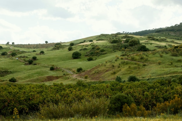 Free Photo extra long shot peaceful landscape with trees