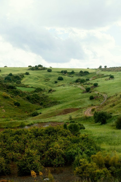 Free Photo extra long shot peaceful landscape with trees