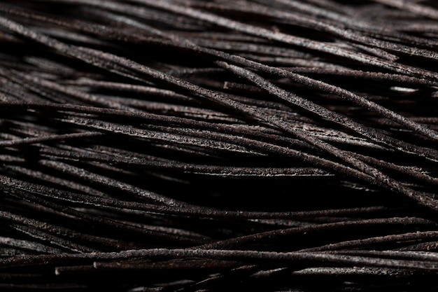 Free Photo extreme close-up squid ink black spaghetti