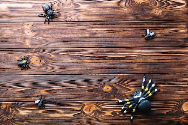 Fake insects on table