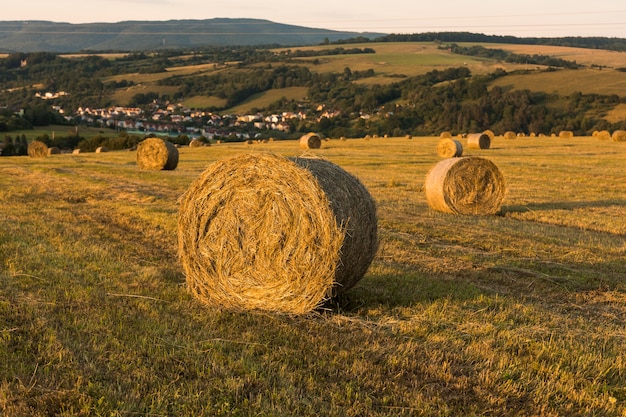 Free photo fall season landscape with rolls of hays