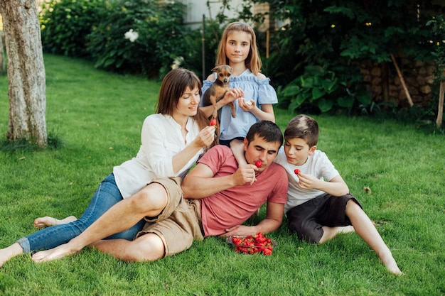 Family eating fresh red strawberry on grass in park