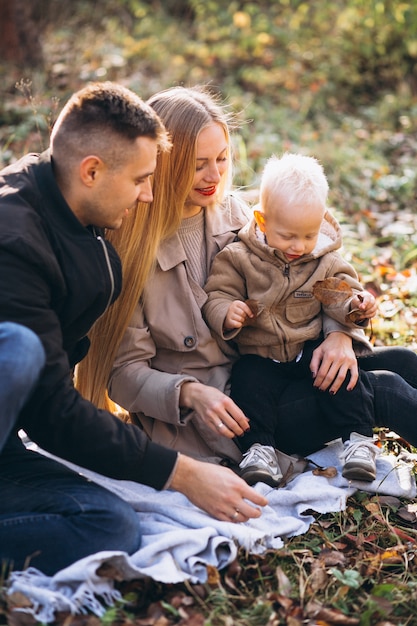 Family having small picnic with their son in autumn park