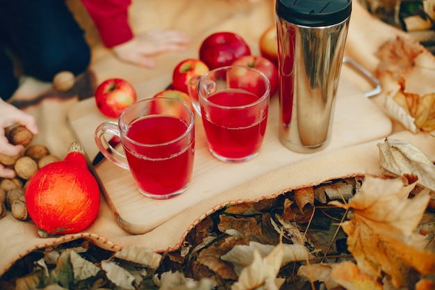 Free photo family picnic a autumn park