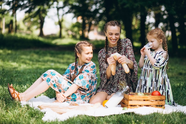 Free photo family picnic in the park