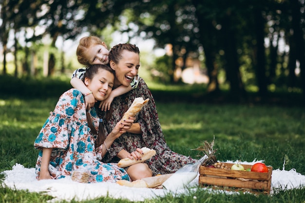 Family picnic in the park