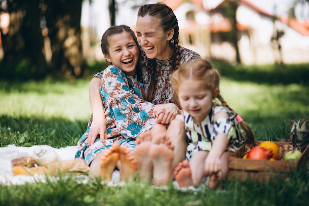 Family picnic in the park