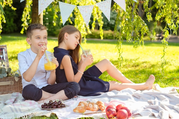 Family picnic