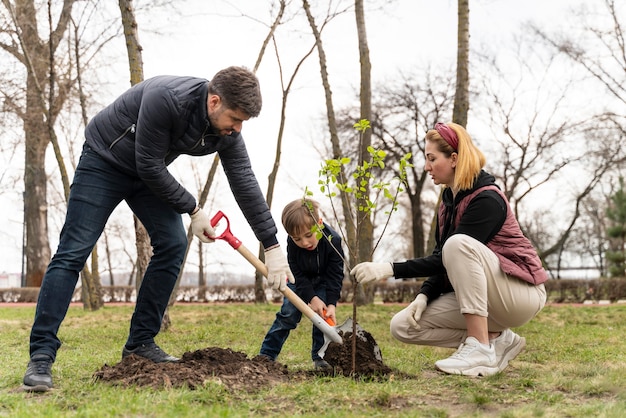 Free photo family plating together a tree