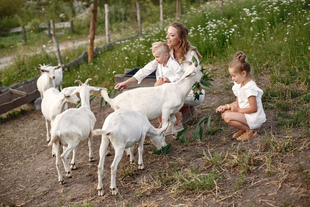 Family spends time on vacation in the village. Boy and girl playing in nature. People walk in the fresh air.