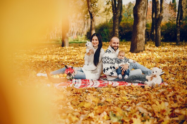 Family with son in a autumn park