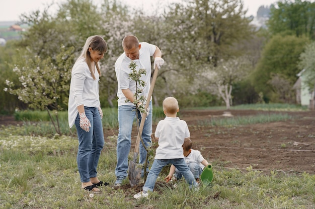 Family with with little sons are planting a tree on a yard