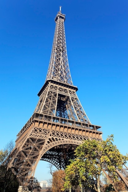 Free Photo famous eiffel tower and trees in paris