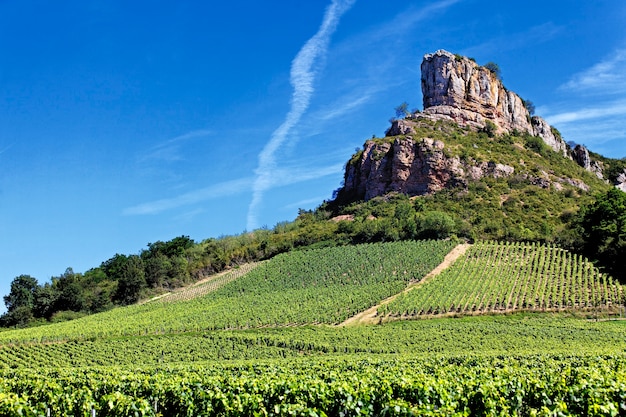 Free photo famous solutre rock with vineyards, burgundy, france