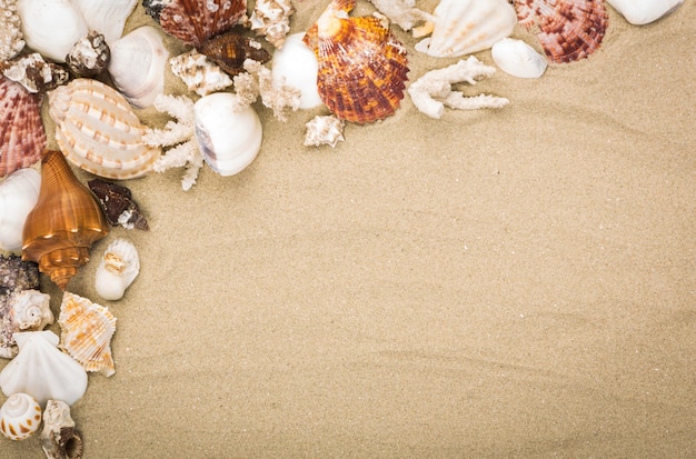 Fantastic background with sand and seashells