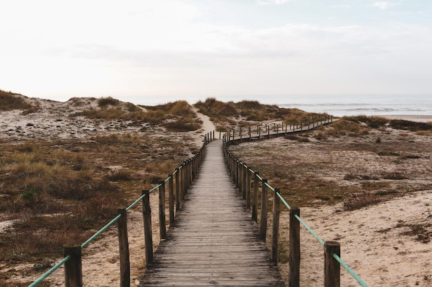 Free photo fantastic shot of a wooden road to the sandy beach