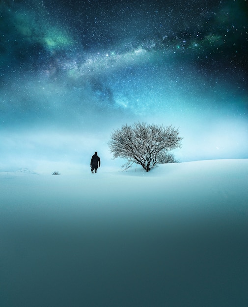 Free photo fantasy concept of a traveler dressed in black exploring in the snow with breathtaking starry sky