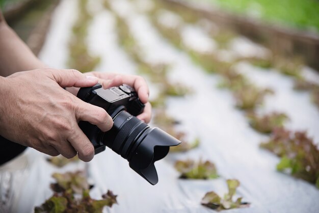 Farm man working in his organic lettuce garden 