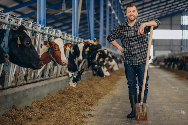 Farmer at cowshed with pitchfork cleaning up