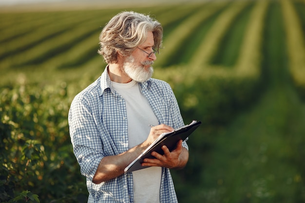 Free Photo farmer examines the field. agronomist or farmer examines the growth of wheat.