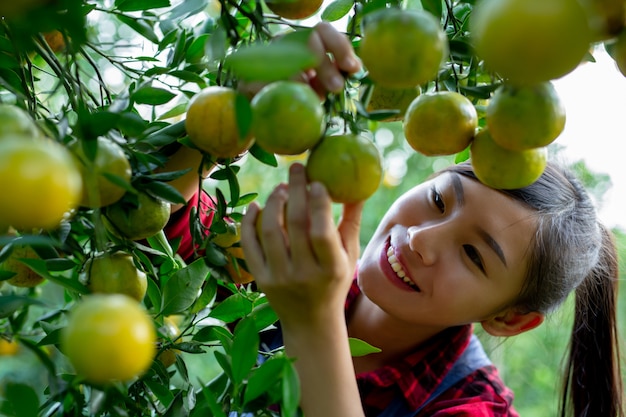 Free photo the farmer is collecting orange