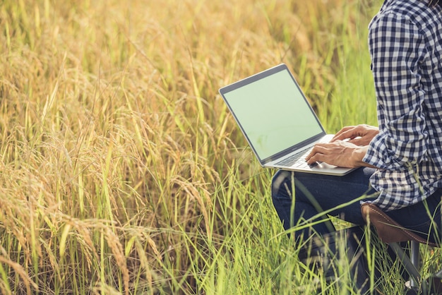 Farmer in rice field with laptop