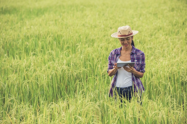 Farmer standing in a rice field with a tablet.