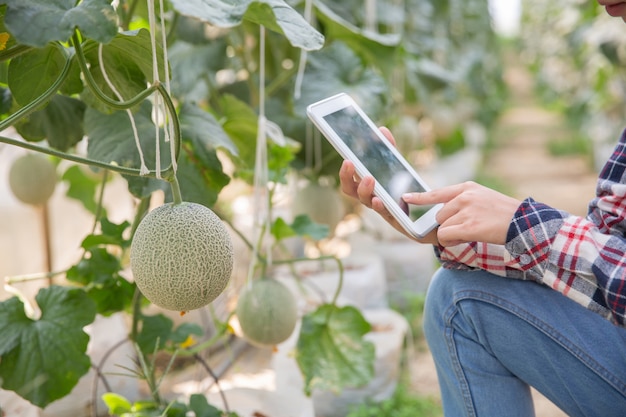 Free photo farmer with tablet for working organic hydroponic vegetable garden at greenhouse. smart agriculture, farm, sensor technology concept. farmer hand using tablet for monitoring temperature.