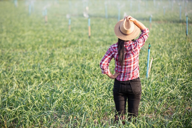 Farmers 