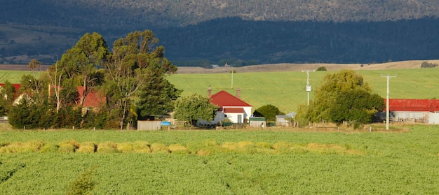 Free Photo farmhouse and trees