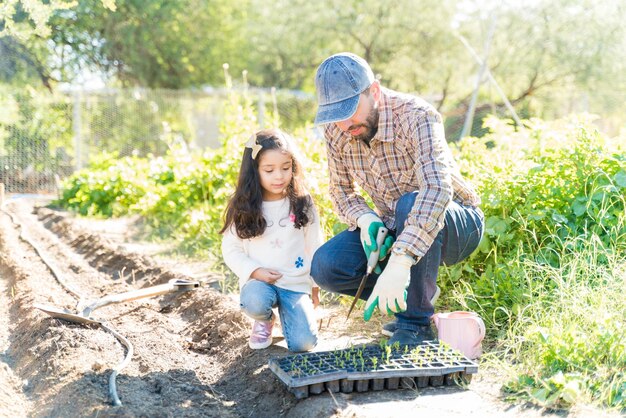 Father instructing daughter while planting seedlings in farm