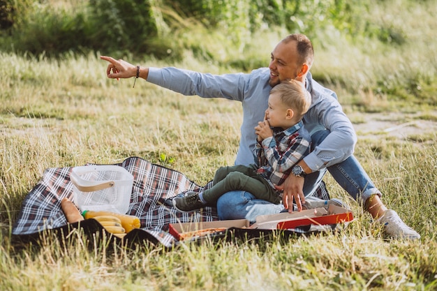 Free photo father with his son having picnic in the park