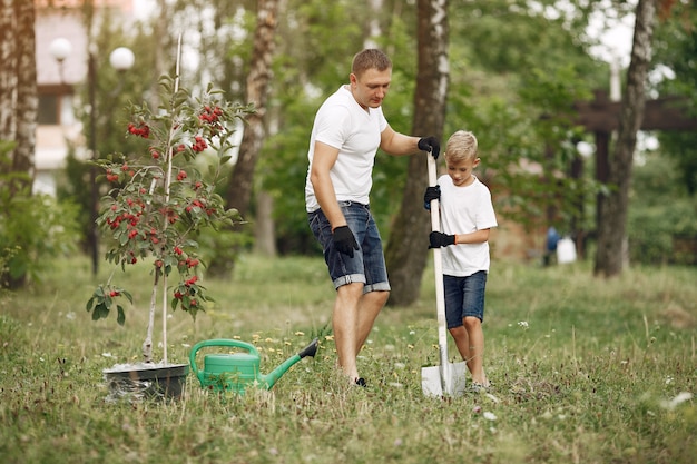 Father with little son are planting a tree on a yard