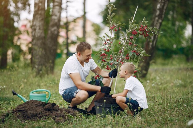 Father with little son are planting a tree on a yard