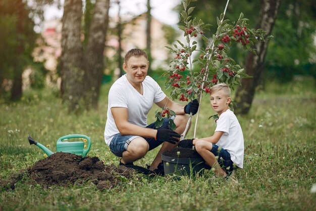 Father with little son are planting a tree on a yard