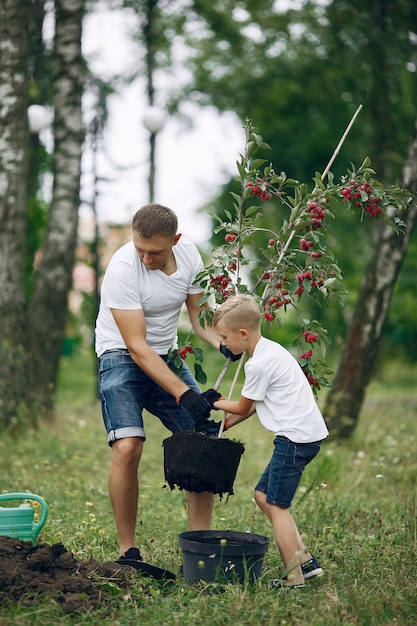 Free photo father with little son are planting a tree on a yard