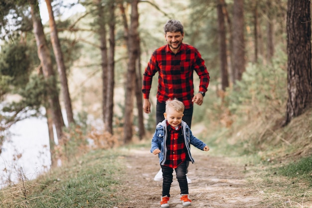 Father with little son in the woods