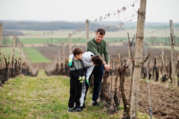 Free photo father with two sons working on vineyard