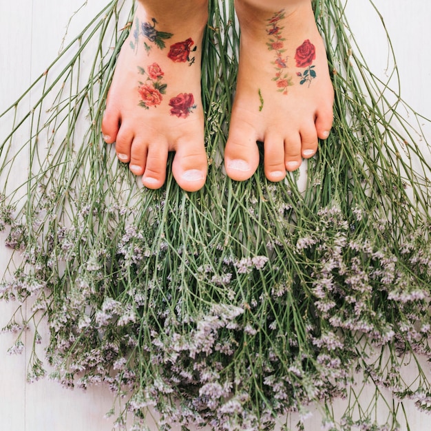 Free Photo feet on flowers