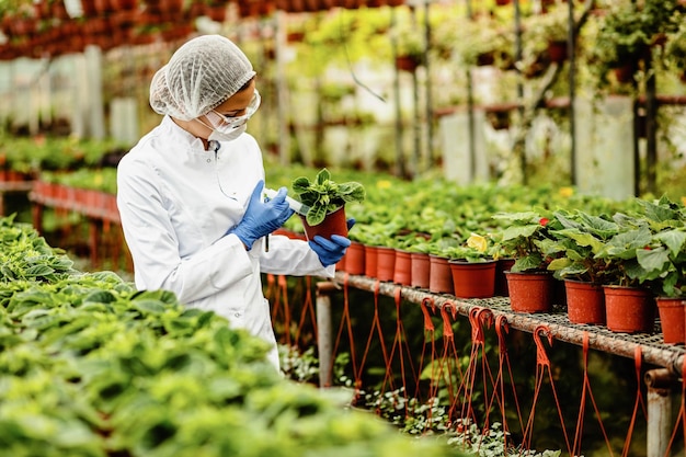 Free photo female biologist using syringe and adding fertilizer to potted plant in a greenhouse