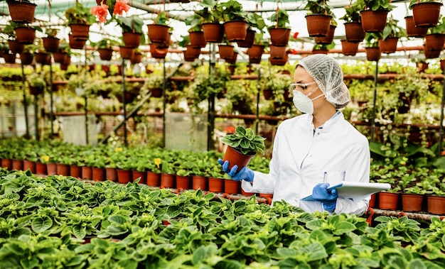 Free photo female botanist performing quality control inspection while examining potted flowers in a greenhouse