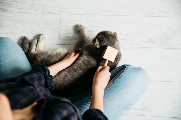 Free photo female combing favorite cat on floor